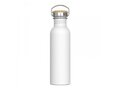 Water bottle Ashton 750ml