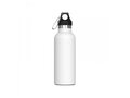 Thermo bottle Lennox 500ml 1