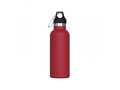 Thermo bottle Lennox 500ml 6