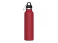 Thermo bottle Lennox 650ml 6