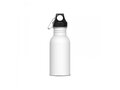 Water bottle Lennox 500ml 1