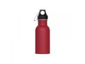 Water bottle Lennox 500ml 6