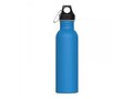 Water bottle Lennox 750ml 5