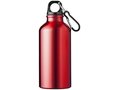 Drinking Bottle With Karabiner