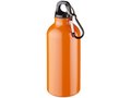 Drinking Bottle With Karabiner 15