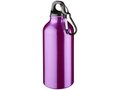 Drinking Bottle With Karabiner 14