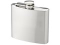 Hip Flask