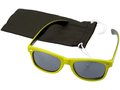 Crockett Sunglasses