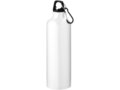 Pacific bottle with carabiner