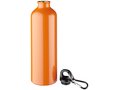 Pacific bottle with carabiner 15