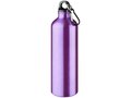 Pacific bottle with carabiner 18