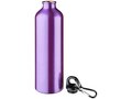 Pacific bottle with carabiner 17