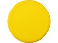 Taurus frisbee 13
