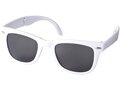 Foldable Sun Ray sunglasses