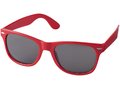 Sun ray sunglasses