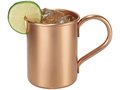 Moscow Mule mug gift set 5