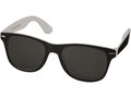 Sun Ray colour pop sunglasses