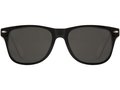 Sun Ray colour pop sunglasses 3
