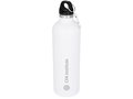 Atlantic vacuum insulated bottle 8