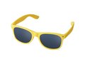 Sun Ray sunglasses for kids 4