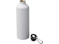 Pacific 770 ml matte sport bottle with carabiner 9
