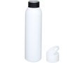 Sky 650 ml sport bottle 4