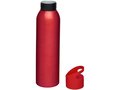 Sky 650 ml sport bottle 8