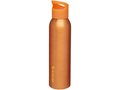 Sky 650 ml sport bottle 10