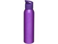 Sky 650 ml sport bottle 13