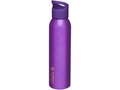 Sky 650 ml sport bottle 14