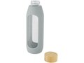 Tidan 600 ml borosilicate glass bottle with silicone grip 23
