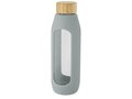 Tidan 600 ml borosilicate glass bottle with silicone grip 24