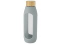 Tidan 600 ml borosilicate glass bottle with silicone grip 24