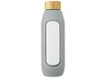 Tidan 600 ml borosilicate glass bottle with silicone grip 22