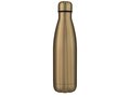 Cove 500 ml vacuum insulated stainless steel bottle 46