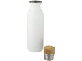 Kalix 650 ml stainless steel sport bottle 5