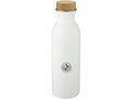 Kalix 650 ml stainless steel sport bottle 2