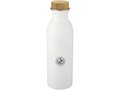 Kalix 650 ml stainless steel sport bottle 2