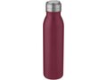 Harper 700 ml stainless steel sport bottle with metal loop 1