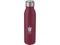 Harper 700 ml stainless steel sport bottle with metal loop 2