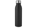 Harper 700 ml stainless steel sport bottle with metal loop 19