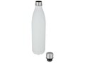 Cove 1 L vacuum insulated stainless steel bottle 4