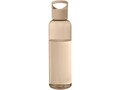 Sky 650 ml recycled plastic water bottle 29
