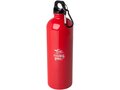 Oregon 750 ml RCS certified single wall stainless steel water bottle with carabiner 10