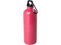 Oregon 750 ml RCS certified single wall stainless steel water bottle with carabiner 21