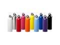 Oregon 750 ml RCS certified single wall stainless steel water bottle with carabiner 25