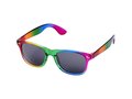 Sun Ray rainbow sunglasses