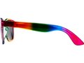 Sun Ray rainbow sunglasses 3