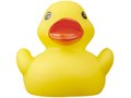 Affie Duck 13