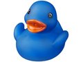 Affie Duck 6